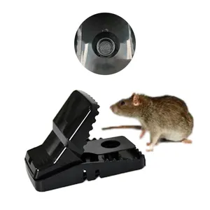 2/6pcs Mouse Snap Traps High Sensitive Snap Mice Catching Rat Traps Pest  Control Reusable Rodent Catcher Mouse Pest Killer Hot - AliExpress