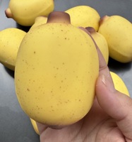 Mini-jouet anti-stress souple et couineur en forme de banane au sésame, à récupération lente, vente en gros
