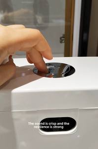 Material <span class=keywords><strong>de</strong></span> PP puro grueso, botón <span class=keywords><strong>de</strong></span> doble descarga electrochapado, fuerte elasticidad, ahorro <span class=keywords><strong>de</strong></span> energía, tanque <span class=keywords><strong>de</strong></span> inodoro en cuclillas, fabricación <span class=keywords><strong>de</strong></span> nuevo Material - Product Image 4