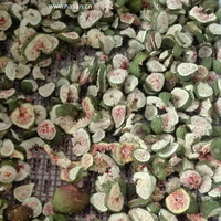 Industriële Druivenmicrogolfvacuümdroger Voor Het Bewaren Van Fruit Van Hoge Kwaliteit