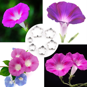 6 uds Morning Glory Fondant Cutter Set reutilizable flor galleta pastelería herramienta de fabricación de magdalenas caseras molde de decoración - Product Image 1