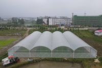 Serre polyvalente ZHUOTAI avec film de protection pour la culture de divers types de légumes, origine Chine