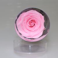 Roses éternelles à longue tige en gros, roses simples pour Noël, la Saint-Valentin, la fête des mères, la remise des diplômes, fleurs décoratives pour la maison