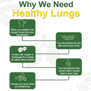 Venta al por mayor de fábrica Mullein Quercetin Ashwagandha Gummy Mullein Extracto Gummy Support Lungs Health Mullein Leaf Gummies - Product Image 4