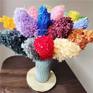 Hydrangea Arborescens stabilisé en gros 2025 – Bouquets personnalisables, couleur au choix, toute l'année, Saint-Valentin, longue durée, haute qualité - Product Image 1