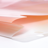 Carpeta de archivos expandible de calidad garantizada de venta superior, papelería de documentos de plástico PET, carpeta de archivos de oficina de plástico para guardar archivos