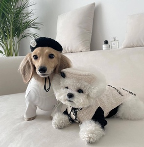 Vestido <span class=keywords><strong>de</strong></span> Lana Tejida en Blanco y Negro con Diseño Clásico para Mascotas, Sombrero <span class=keywords><strong>de</strong></span> Lujo para Perros - Product Image 4