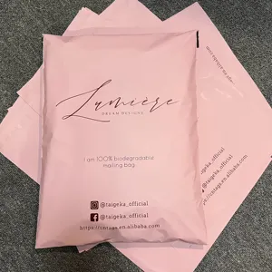 Custom Design Eco-Roze Co-Ex Poly Mailers Verzending Enveloppen Mailingtas Voor Kleding Fabriek Groothandel Koerierstas