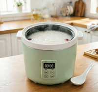 Mini-cuiseur à riz électrique individuel 1L, modèle R29/R31, 230W/300W, idéal pour les dortoirs