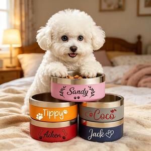 Bol pour chien avec nom, bol à eau antidérapant en acier inoxydable, distributeur de nourriture facile à nettoyer pour chats et chiens - Product Image 1