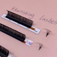 Extensions de cils de volume russe d'épaisseur 0.15mm noir mat qualité supérieure Dd Curl cils individuels 25mm plateaux simples