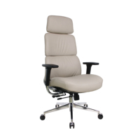 JOHOOFURNITURE Chaise de bureau exécutive beige en maille, cuir PU, cadre en acier inoxydable, fonction d'inclinaison verrouillable, chaise de bureau