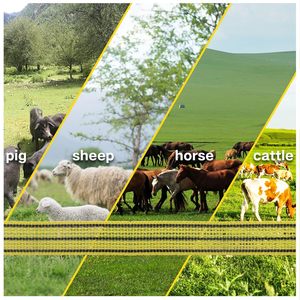 Cinta para Cercas Eléctricas, Polytape, Cinta <span class=keywords><strong>de</strong></span> Polietileno para Cercas Eléctricas, Cinta para Cercas <span class=keywords><strong>de</strong></span> <span class=keywords><strong>Caballos</strong></span> con Empaque y Color Personalizados - Product Image 6