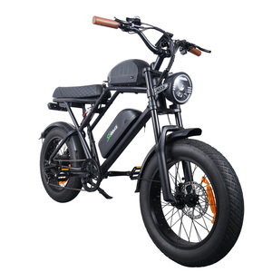 จักรยานไฟฟ้าสไตล์เรโทร EU Warehouse รุ่น E-Bike 1000W มอเตอร์  สองที่นั่ง สำหรับขับขี่ออฟโรด ยางใหญ่ พร้อมแบตเตอรี่สองก้อน - Product Image 1
