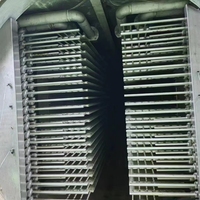 2000kg Vacuüm Automatische Vriesdroger Lyofilisator SUS304 RVS Gear voor Voedselverwerking Vriesgedroogd Fruit en Groenten