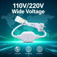 Connecteur de cordon d'alimentation pour guirlande lumineuse LED haute tension 110V 220V, adaptateur secteur 4A pour bandes lumineuses, pièces et accessoires, connecteurs