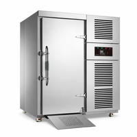 Armoire de congélation rapide à basse température en acier inoxydable de qualité alimentaire, adaptée aux boulangeries, aux fruits de mer et à la viande.