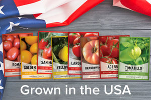 Offerta Speciale: Assortimento di 8 Varietà di Pomodori per Giardino, Casa, Conserve, Cucina e Consumo Fresco - Product Image 4