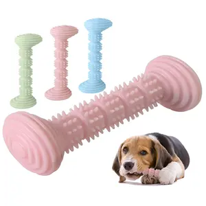 2024 New design interactive tpr cleaning barbell shaped dog chew toys for pets,pet products
