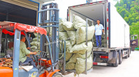 PVC PP PVDF Form Kunststoff Pall Ring für Tower Random Packing Langlebige und effiziente Material modellierung