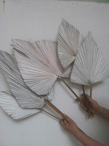 Hojas <span class=keywords><strong>de</strong></span> palma secas <span class=keywords><strong>de</strong></span> cobre Rosa <span class=keywords><strong>Flores</strong></span> reales <span class=keywords><strong>naturales</strong></span> pequeñas en forma <span class=keywords><strong>de</strong></span> corazón para decoración <span class=keywords><strong>de</strong></span> hogar <span class=keywords><strong>de</strong></span> boda DIY - Product Image 2