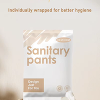 Échantillon Gratuit – Culotte Menstruelle Jetable Respirante en Coton Anti-Fuite avec Couche Extérieure Type Tissu, Ajustable pour Femme, Tailles M-L