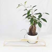 Cintre en bois antidérapant pour vêtements, cintre en bois pour jupe, kimono, cintre en bois pour costume homme, cintre en bois pour pantalon