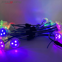 Lampes à points LED WS2811, adressables, IP65, corps en PVC de 26 mm, DC12V, pour décorations de parcs d'attractions