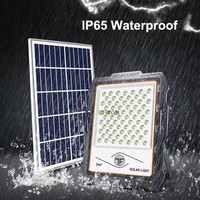 Lanskap L-20 lampu jalan tenaga surya Led sel bentuk bulat perlengkapan lampu Led banjir dengan kamera Cctv lampu sorot tenaga surya