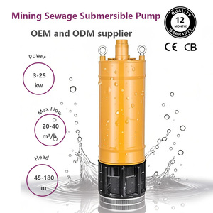 Bomba Sumergible Integrada QXN de Alta Potencia, 380v 5.5kw 2.5 Pulgadas, para Dragado Marino, Transferencia de Arena y Minería - Product Image 3