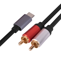 USB à 2 RCA Audio Câble Type-C RCA Câble 2 RCA Jack 0r USB-C Audio Ligne Compatible pour Home Cinéma Amplificateur DVD