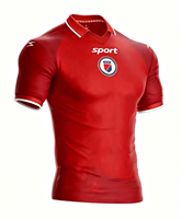 Camiseta de Fútbol Casual para Hombre Haiti 2026WC, Cuello Alto, Malla Transpirable de Alta Calidad, Estampada, Manga Corta, 100% Poliéster, Corte Regular