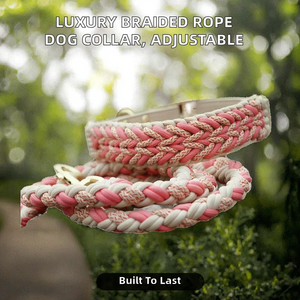 Coleira Tática Luxuosa de Corda Trançada Simples para Cães, Ajustável em Paracord, com Fivela de Nylon Ecológica - Product Image 2