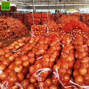 Trung Quốc 6-8cm Hữu Cơ hành tây đỏ cây trồng mới chất lượng cao trong túi lưới toàn cầu khoảng cách chứng nhận tươi hành tây đỏ cho xuất khẩu bán buôn - Product Image 6