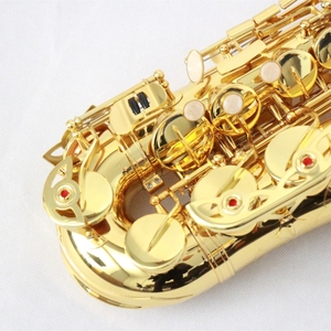 Saxofón <span class=keywords><strong>alto</strong></span> OEM <span class=keywords><strong>para</strong></span> principiantes y estudiantes Saxofón <span class=keywords><strong>alto</strong></span> de color dorado en tono EB con estuche rígido y <span class=keywords><strong>boquilla</strong></span> de accesorios - Product Image 3