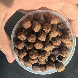 Trang Trại Các Ngành Công Nghiệp Áp Dụng Và Bảo Hành 1 Năm Máy Ép Thức Ăn Gia Súc Thủy Canh - Product Image 6