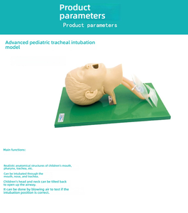 <span class=keywords><strong>แบบ</strong></span>จำลองการฝึกใส่ท่อช่วยหายใจสำหรับเด็กที่มีความเที่ยงตรงสูง PVC ขั้นสูงแบบจำลองการใส่ท่อช่วยหายใจสำหรับวิทยาศาสตร์การแพทย์ฉุกเฉิน - Product Image 3