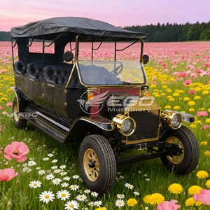 Coche Eléctrico de Turismo de Alta Calidad de Fábrica para Viajes, Batería de 72V, Gran Autonomía, Coche Eléctrico de Lujo Clásico Vintage de Alta Velocidad - Product Image 2