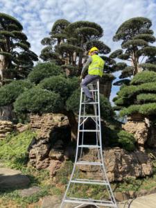 조정 가능한 과일 따기 사다리 스트레이트 스텝 야외 과수원 용 알루미늄 삼각대 체리 따기를위한 정원 도구 접기 - Product Image 6