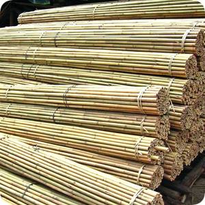 100% Nature Dry Straight <b>Rattan</b> Bamboo Pole for <b>Sale</b>/Bamboo Pole Material for <b>Furniture</b> WS0084587176063 - Product Image 2