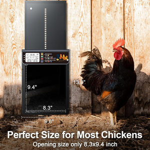 Modern Solar Panel Automatic Chicken Door With <strong>Programmable</strong> Timer And Easy Installation Kit - Product Image 5