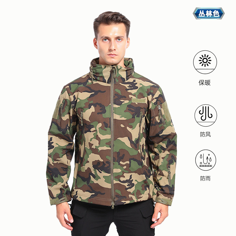 Couleur de la jungle