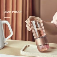 Gobelet à thé isotherme de 500 ml, bouteille d'eau en verre borosilicate à double paroi résistante à la chaleur, sans BPA, avec infuseur à thé