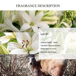 Olio Profumato UNIQUE AROMA <span class=keywords><strong>Lys</strong></span> 41, Profumo a Lunga Durata, Oli Fragranti al Giglio, Olio Profumato di Lusso Personalizzato, Ordine all'Ingrosso - Product Image 2