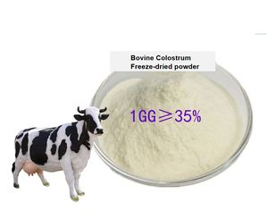 אבקת קולוסטרום בקר מבית מפעל בוזוואון, IGG 20%, מיובש בהקפאה, טוהר 99%, דרגת מזון, מוסמך כחלאל/כשר, לעצמות/מפרקים - Product Image 2