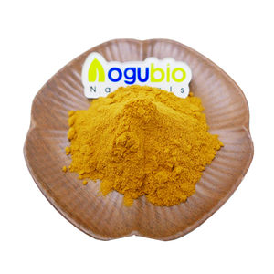 Levering 100% Natuur Quillaia <span class=keywords><strong>Extract</strong></span> Saponinepoeder - Product Image 6