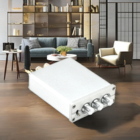 2.0 ev amplifikatör 300W yüksek güç d-sınıfı dijital bas mavi diş için ayarlı 5.0 güç amplifikatörü ev kullanımı için