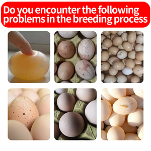 תוספי מזון באיכות גבוהה שכבת המפעל תוספי מזון גבוהה במיוחד - Product Image 5