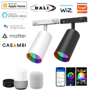 Smarte Magnetische Schienenleuchte Tunable White RGBW Zigbee Dali Licht 48V Dimmbare Stromschiene Matter Casambi Tuya Magnetisches Schienenlicht - Product Image 3