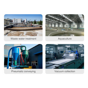 Bomba de Vacío de Aire de Alta Presión con Motor Eléctrico de CA de Calidad Confiable a Precio de Fábrica, con Transmisión por <span class=keywords><strong>Correa</strong></span> y Tres Lóbulos para Acuicultura - Product Image 3